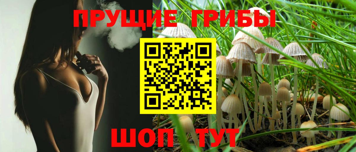 купить закладку  Псилоцибиновые грибы GOLDEN TEACHER  Вход с VPN  Губкинский 