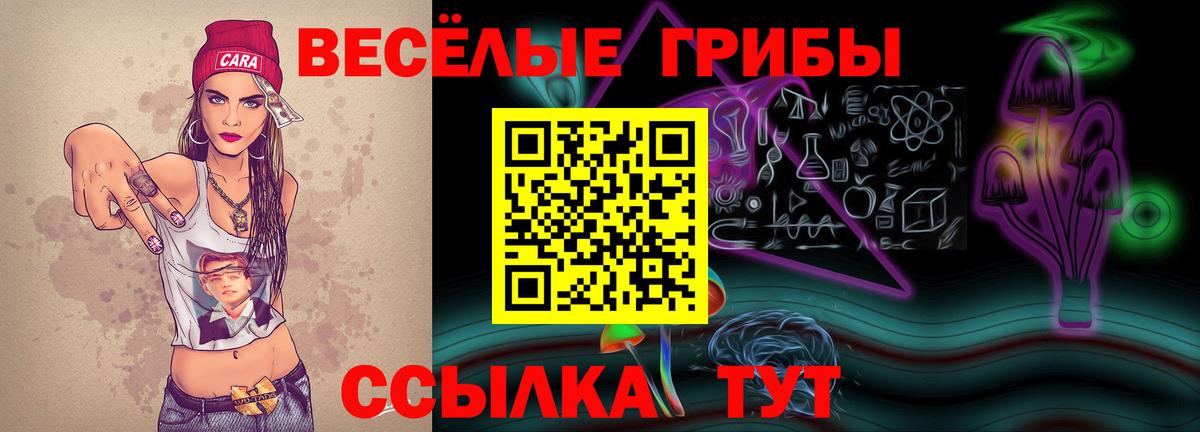 Галлюциногенные грибы Magic Shrooms Губкинский